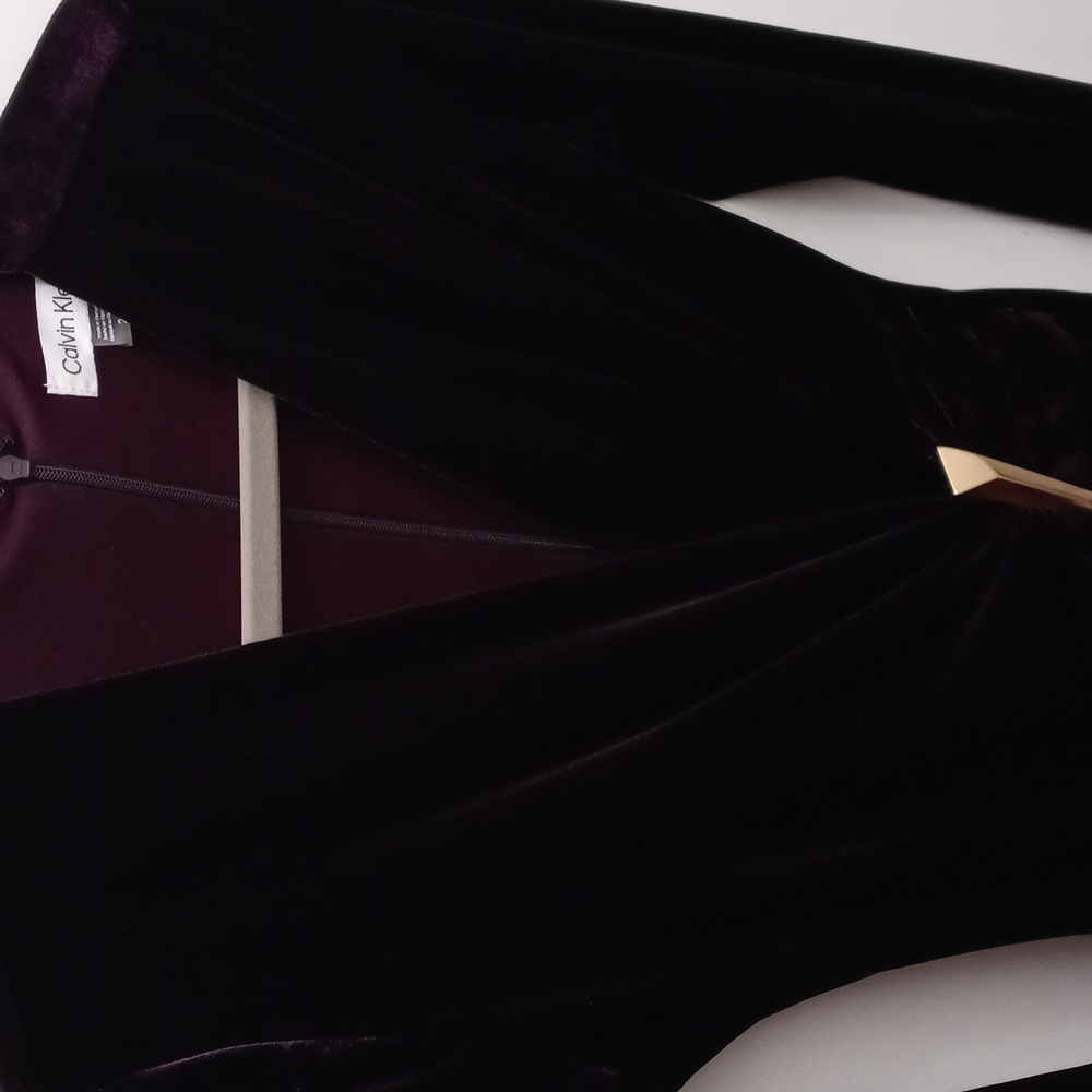 Calvin Klein velvet dress 2